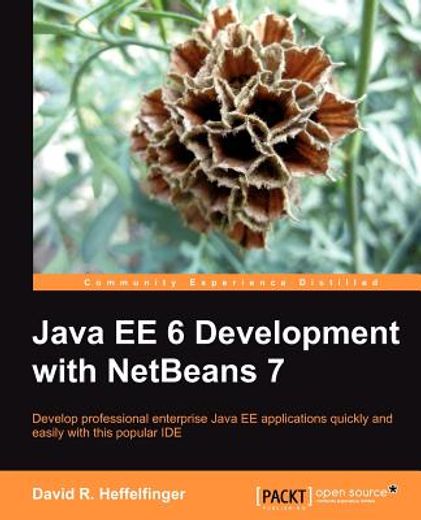 java ee 6 development with netbeans 7
