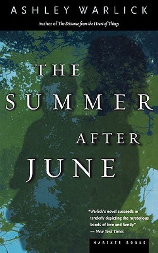 the summer after june (en Inglés)