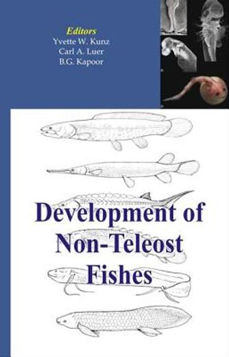 Development of Non-Teleost Fishes (en Inglés)