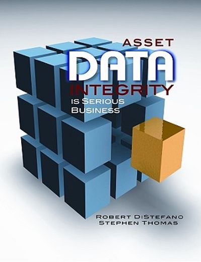 asset data integrity is serious business