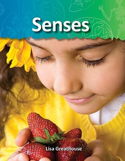 senses,the human body