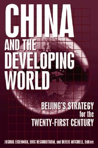 china and the developing world,beijing´s strategy for the twenty-first century