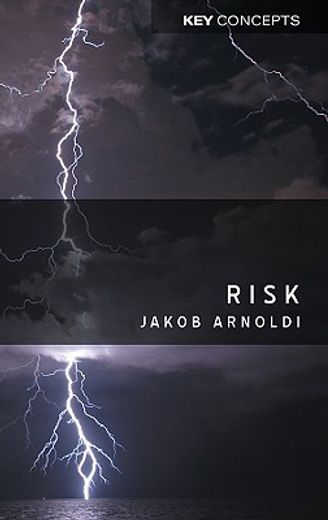 risk,an introduction