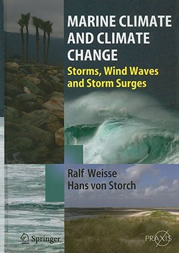 marine climate change,ocean waves, storms and surges in the perspective of climate change