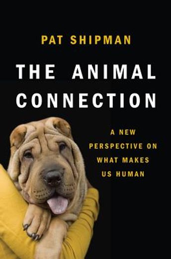 the animal connection,a new perspective on what makes us human