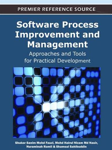 software process improvement and management (en Inglés)