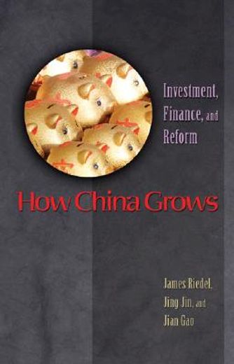 how china grows,investment, finance, and reform