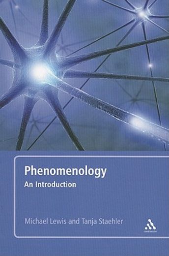 phenomenology,an introduction
