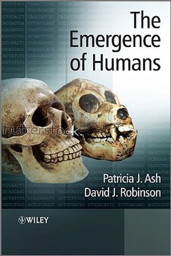 the emergence of humans,an exploration of the evolutionary timeline