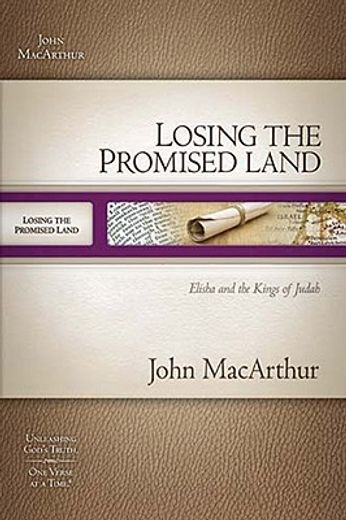 losing the promised land,elisha and the kings of judah