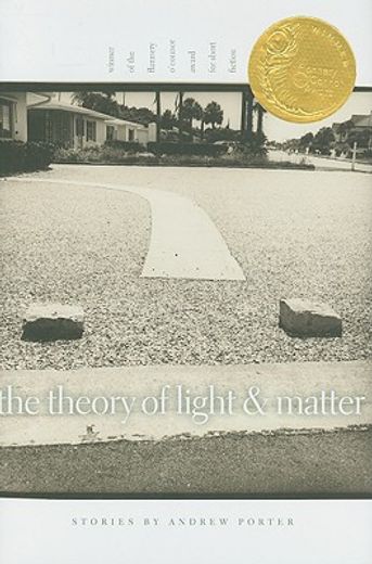the theory of light & matter