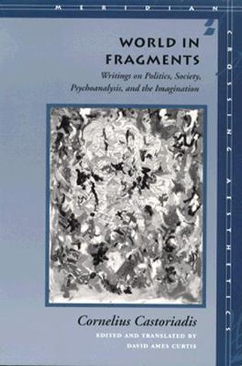 World in Fragments: Writings on Politics, Society, Psychoanalysis, and the Imagination (Meridian: Crossing Aesthetics) (en Inglés)