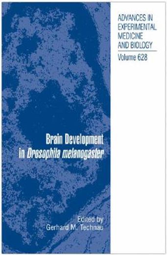 brain development in drosophila melanogaster
