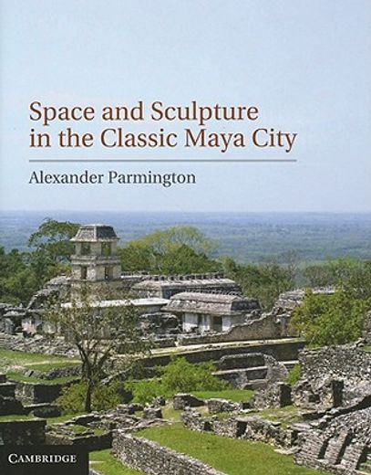 space and sculpture in the classic maya city