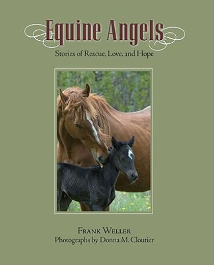 Equine Angels: Stories of Rescue, Love, and Hope (en Inglés)