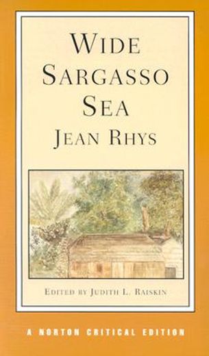wide sargasso sea,backgrounds, criticism