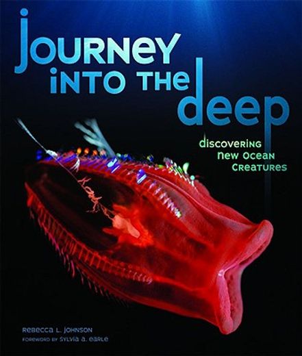 journey into the deep,discovering new ocean creatures