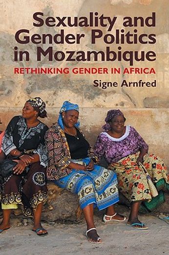 sexuality and gender politics in mozambique,re-thinking gender in africa