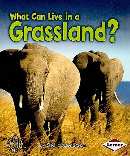 what can live in a grassland?