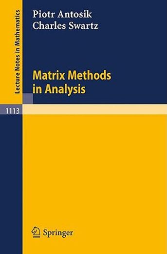 matrix methods in analysis (en Inglés)
