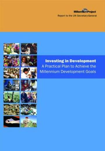investing in development,a practical plan to achieve the millennium development goals