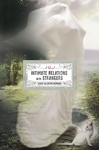 Intimate Relations with Strangers (en Inglés)