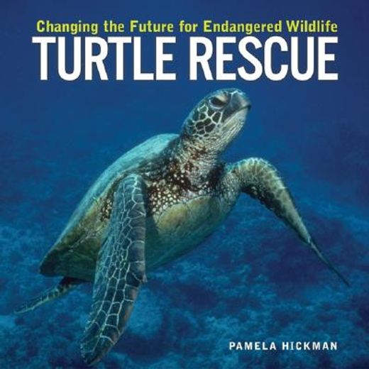turtle rescue,changing the future for endangered wildlife