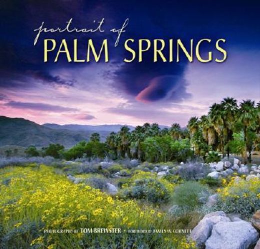 portrait of palm springs (in English)