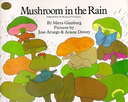 mushroom in the rain (en Inglés)