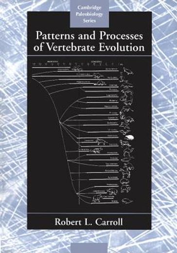 patterns and processes of vertebrate evolution