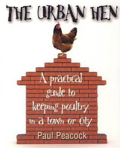 urban hen