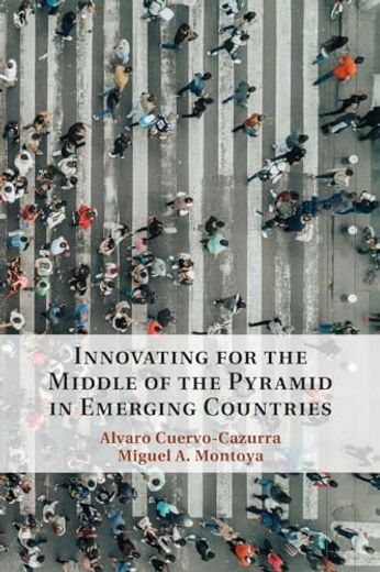 Innovating for the Middle of the Pyramid in Emerging Countries (en Inglés)