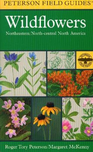 a field guide to wildflowers,northeastern and north-central north america (en Inglés)