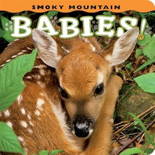 smoky mountain babies (en Inglés)