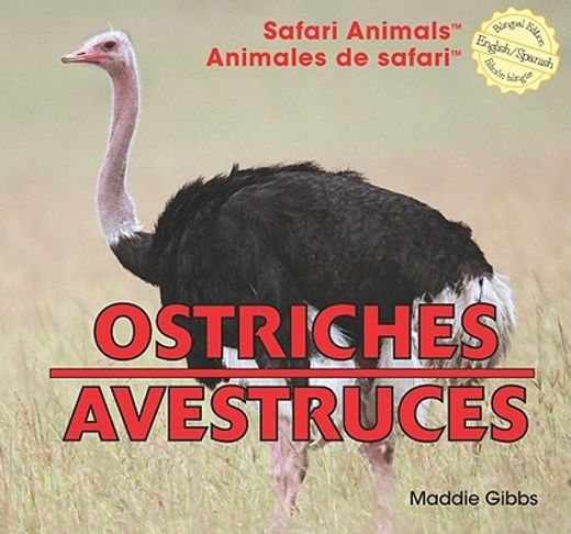 ostriches / avestruces