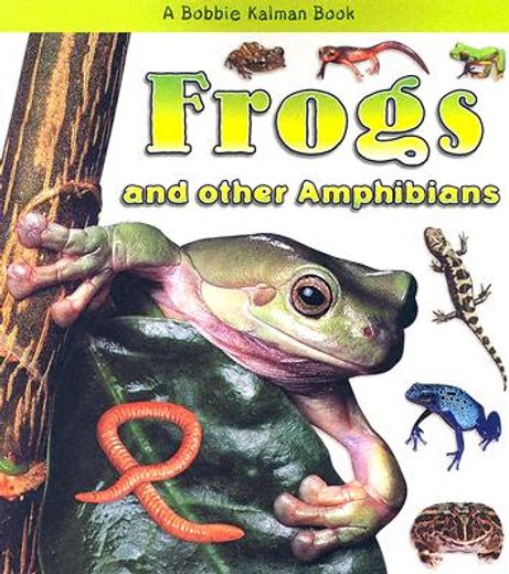 frogs and other amphibians