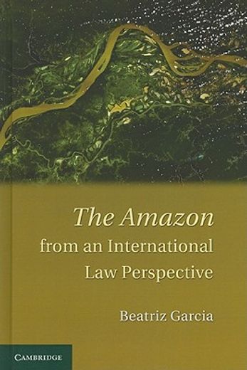 the amazon from an international law perspective