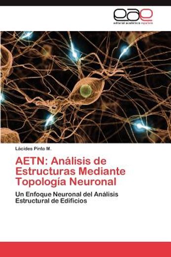 aetn: an lisis de estructuras mediante topolog a neuronal