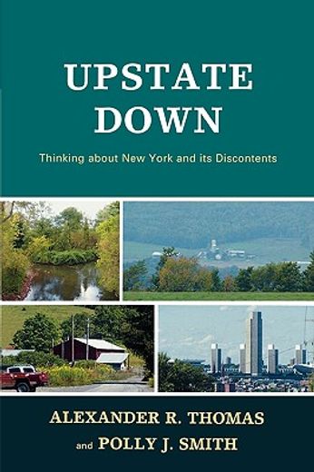 upstate down,thinking about new york and its discontents