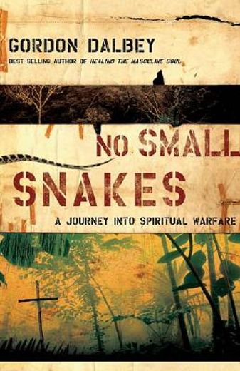 no small snakes,a journey into spiritual warfare