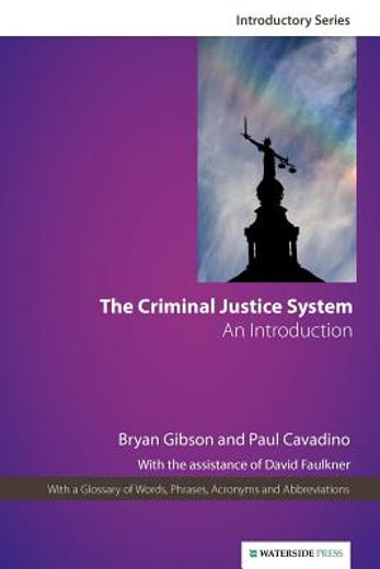 the criminal justice system,an introduction