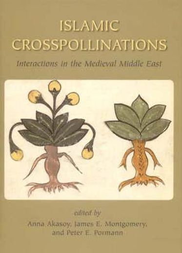 islamic crosspollinations,interactions in the medieval middle east