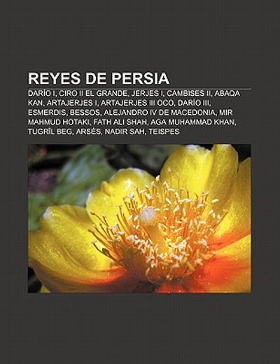 reyes de persia: dar o i, ciro ii el grande, jerjes i, cambises ii, abaqa kan, artajerjes i, artajerjes iii oco, dar o iii, esmerdis, b