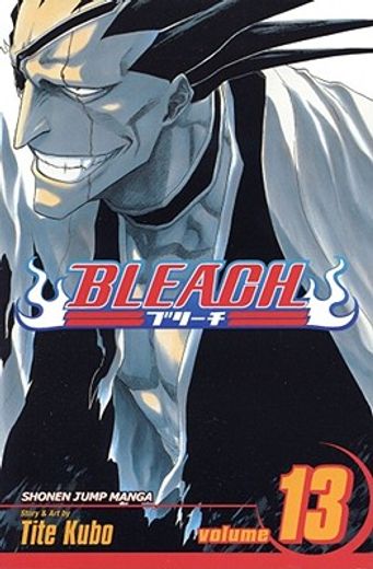 bleach 13,the undead (in English)