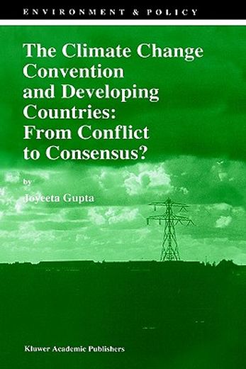 the climate change convention and developing countries,from conflict to consensus?