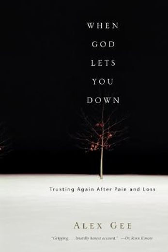 when god lets you down,trusting again after pain and loss (in English)