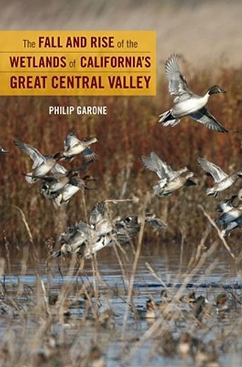 the fall and rise of the wetlands of california`s great central valley