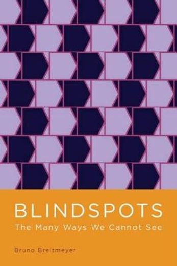 blindspots,the many ways we cannot see