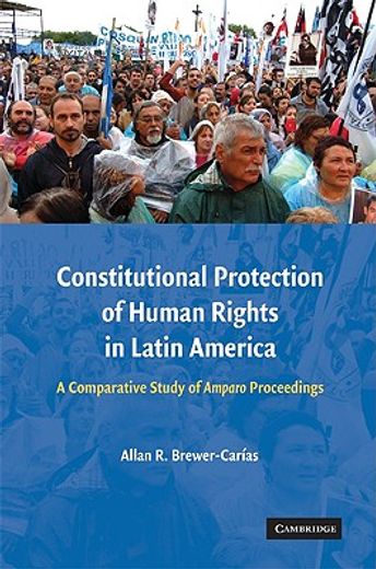 constitutional protection of human rights in latin america,a comparative study of amparo proceedings