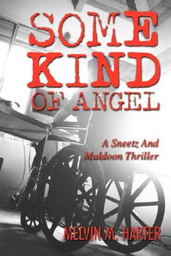 some kind of angel:a sneetz and muldoon thriller